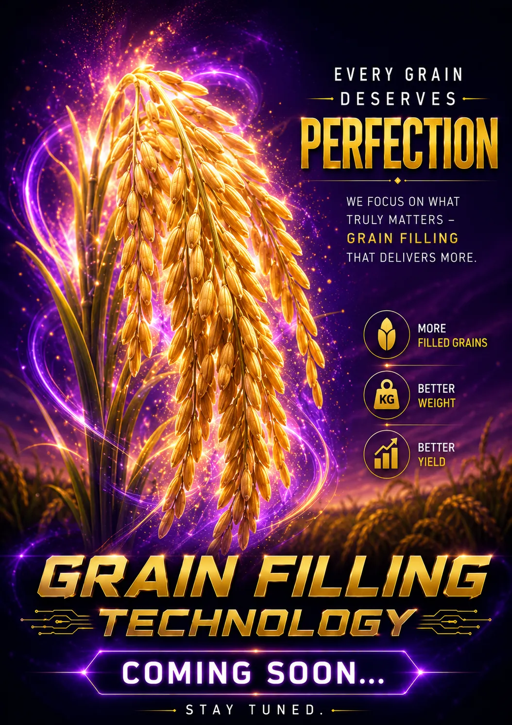 TopGrain - A Grain Filling Technology, Every Grain Deserves Perfection